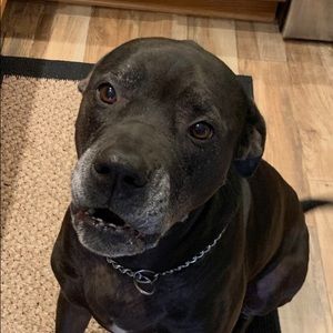 Meet your Posher, Deanna